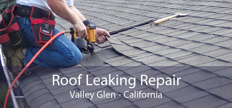 Roof Leaking Repair Valley Glen - California